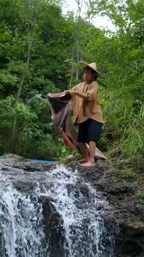 "Unlocking Ancient Secrets: How Donkey Skin Turns Into Gelatin!"#shorts 😱|shortsfeed |