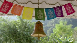 766 reactions · 128 shares | What can yoga teach you? Watch the 13-part documentary about this ancient practice. | Yoga on Gaia | Facebook