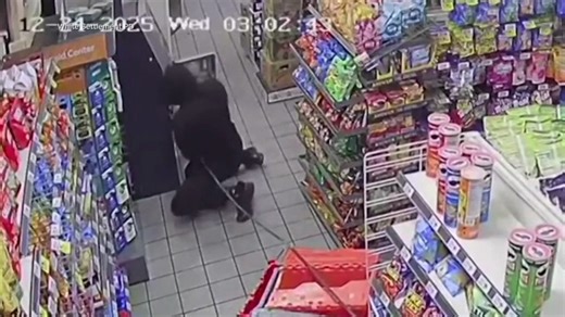 #Crime never sleeps, maybe that lack of sleep explains the questionable behavior. #RedwoodNews shares 2 crimes that leave us with more questions than answers | Redwood News