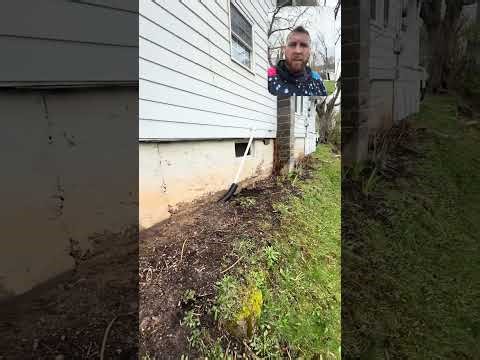 Complete house wash/soft wash