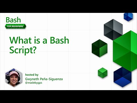 What is a Bash Script? [13 of 20] | Bash for Beginners