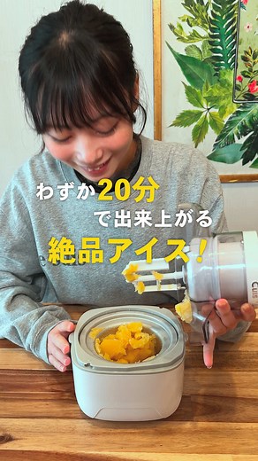 20分で絶品アイス！Cuisinartアイスクリームメーカー