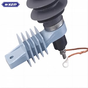 [Hot Item] Polymeric Surge Arrester for 36kv Voltage Protection Polymeric Lightning Protection