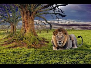 GIMP 2.10.12: Tuto 102 ( Mariage d'un élément sur un autre )