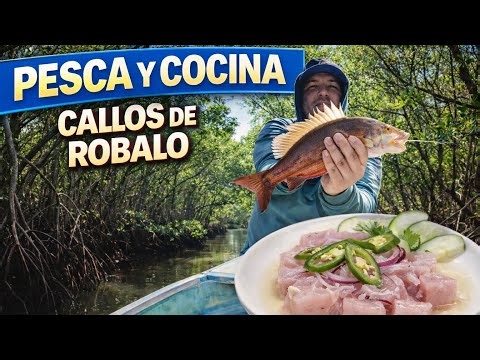 Snapper fishing with live bait in the estuaries of Sinaloa!!!