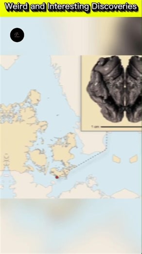 Weird And Interesting Discoveries #shorts