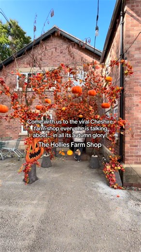 Autumn vibes the most viral farm-shop in Cheshire! 📍 The Hollies Farm Shop #farmshop #sykescottages #uktravel #travel #trending #ukstaycation | Sykes Holiday Cottages