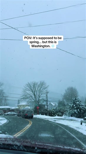 Surprising Spring Snow in Washington Weather