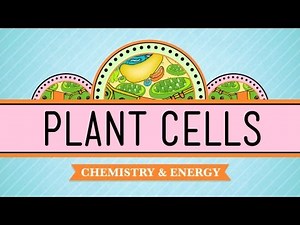 Plant Cell and Its Organelles Video Lecture | Biology for EmSAT Achieve