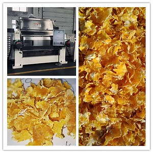 [Hot Item] Precooked Corn Flour Mill Flaking Roller Mill Machine for Middle East and North Africa, South America