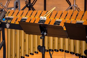 Xylophone vs Marimba vs Vibraphone vs Glockenspiel (With Videos) - Musician Wave