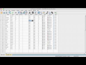 Labeling Variables in SPSS