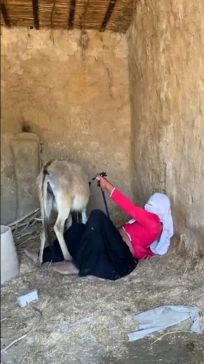 Donkey vs Girl! 🛑 Prank Gone Wrong in the Village!