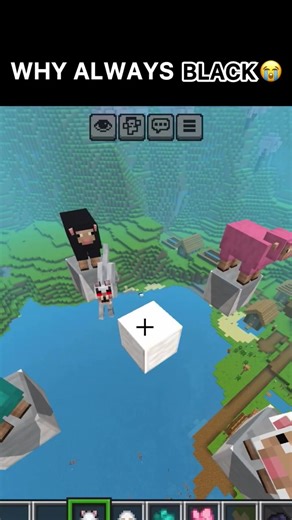 Black Screen Glitch in Minecraft