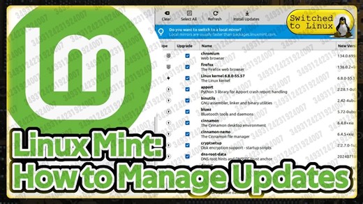2025.06.07 【Switched to Linux】如何在Linux Mint中更新