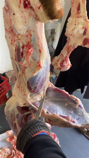Meat Processing Cutting Technique