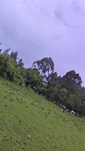 Chelsea vs PSG: Fans Gear Up for Champions League Showdown