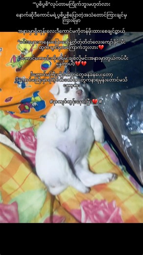 #နာကျင်လွန်းနေပါပြီး💔 #ကြေကွဲလူငယ်လေး🥺💔🥀