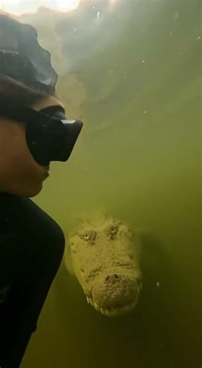 It Sank... Direction Unknown (POV Loop)