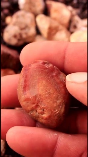 Soothing Stone Collecting #agate #relaxingrockhounding #naturesounds #crystals #gemstone #minerals