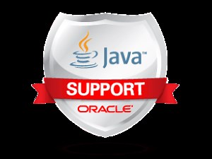 Oracle ha decidido dejar sin soporte a Java en Windows XP - Alta Densidad