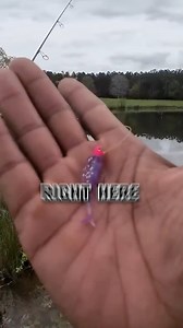 How to retrieve a crappie jig | Brian Latimer