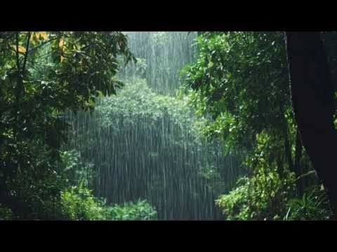 10 HOUR VERSION ON MY CHANNEL #rain #raindrops #rainsoundsforsleeping #sleep