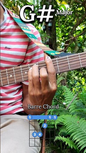 How To Play Barre Chord G# Major Guitar 🎸