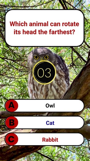 Which animal can rotate its head the farthest | SmartGlobalGK | GK Quiz