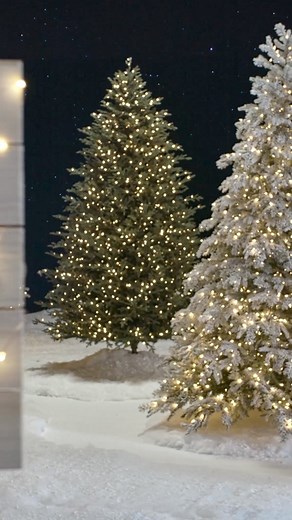 149 reactions · 21 shares | Find long-lasting realistic Christmas trees at Frontgate that you and your family will cherish for years to come. Shop now. | Frontgate | Facebook