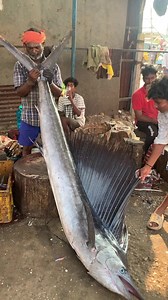 18M views · 296K reactions | Monster size mayil kola fish  | Kasimedu Meenavan | Facebook