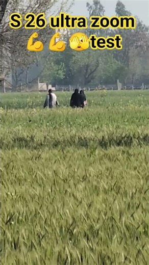 Samsung S6 ultra zoom test #galaxy S 26 ultra zoom test #s26ultra#s26ultra zoom test #shorts