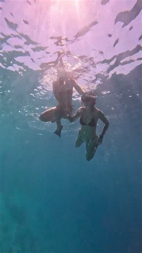 Crystal Clear Ocean Snorkeling 🤿🌊 | Discover the Underwater Paradise #Shorts
