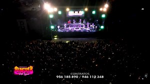 6.9K views · 330 reactions | ‼ SIN TU CARIÑO ‼ Autor y Compositor: Victor Guzman Condezo Concierto en Vivo Contratos: +51 956 185 890 Machito Guzmán Jr. ¡Suscríbete a nuestro canal Oficial de Youtube!  https://www.youtube.com/c/GrupoDAlegriaOficial | Grupo Dulce Alegria Victor Guzman | Facebook