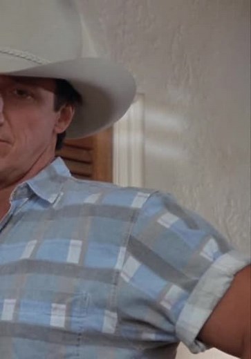 In the Heat of the Night S04:E20 - Just a Country Boy