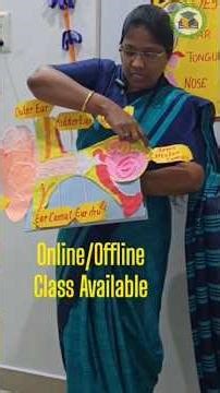 👂 Ears – different sounds to improve attention and auditory awareness#JM Montessori Academy.