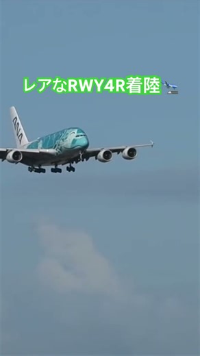 Welcome flying honu!! #aviation #ライブ配信 #空港ライブ配信 #ホノルル #ラグーンドライブ#ana #flyinghonu #フライングホヌ