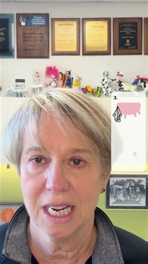 Teat drying reduces bacteria entering teat end #mastitisminute #dairyfarm #dairyherd #farming #cow