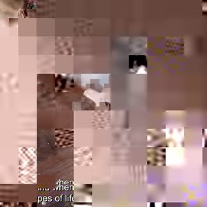 6K views · 626 reactions | Super easy recipe and an amazing result! | The Korean Vegan | Facebook