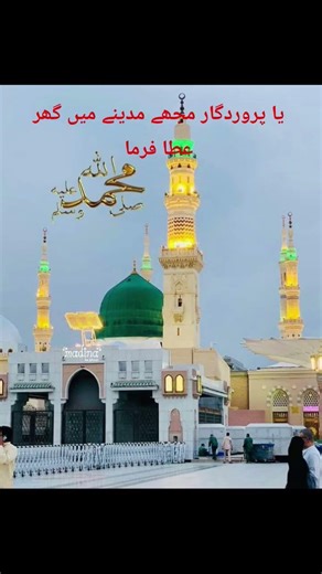 ya parvardigaar mujhe madine pak mein apna Ghar ata farma #naat #islamicshorts #madina