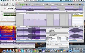 HairerSoft Amadeus Pro v2.8.5 (2555) MacOSX