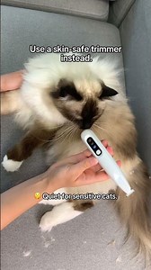 The glamorous side of owning a fluffy cat. 😭🐾