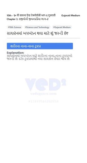 10th Science Sycon Reproduction Explained