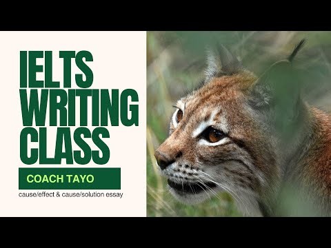 How to write cause & effect essay and cause & solution essay