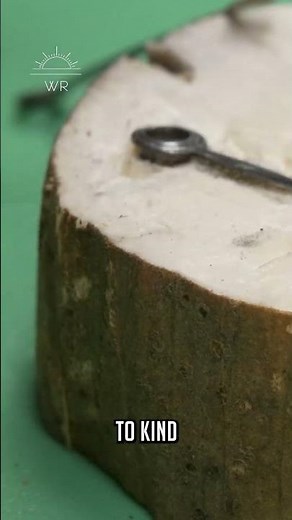 Bluing Hands Part 1 - Prep work (but not too much prep work for this one)