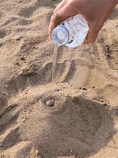 Innovative Beach Lifehack for a Relaxing Getaway