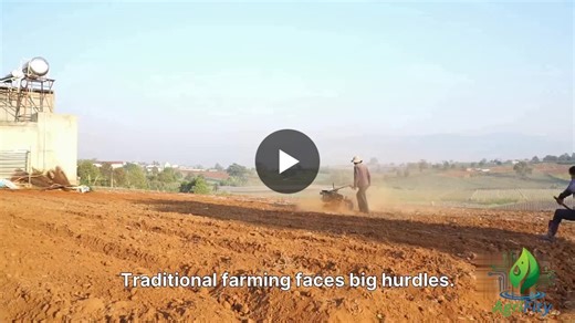 #smarthydroponics #agritech #smartfarming #precisionagriculture #hydroponicfarming #waterefficiency #greenhousefarming #digitalfarming #climatesmartagriculture #sustainablefarming #agrifity | Agrifity