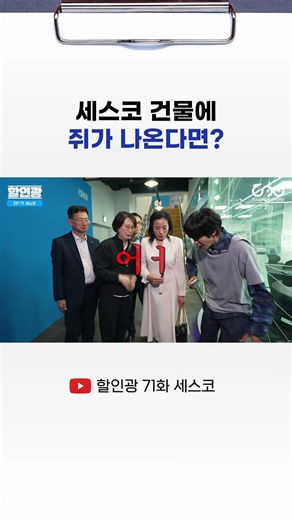 세스코 건물에 쥐가 나온다면? #할인광 #세스코
