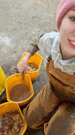Mixing Feed in a Barn with a Cow