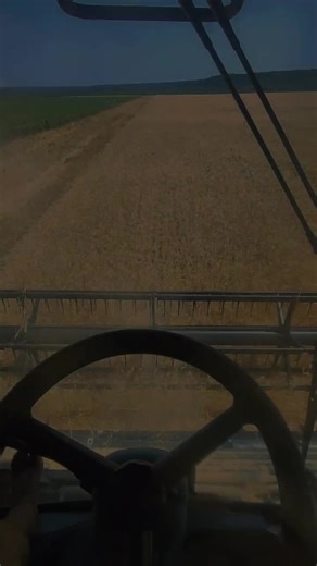 Belarus 820 (@820belarus)’s videos with sunet original - Belarus 820